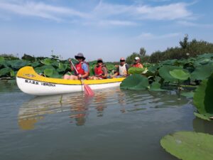 GRUPPO CANOA SASS